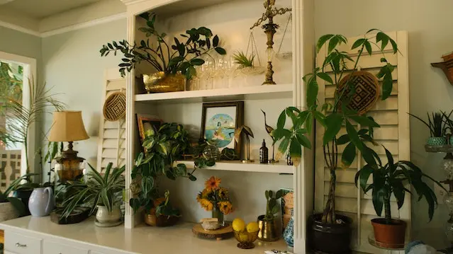 فضای سبز و ارام توسط گیاهان در گوشه ای از یک منزل که با الهام از طبیعت فضایی آرامش بخشی را ساخته